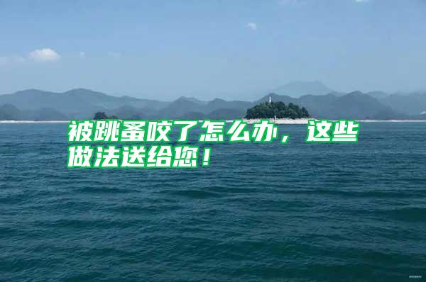 被跳蚤咬了怎么辦，這些做法送給您！