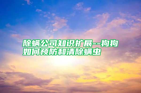 除螨公司知識(shí)擴(kuò)展--狗狗如何預(yù)防和清除螨蟲(chóng)
