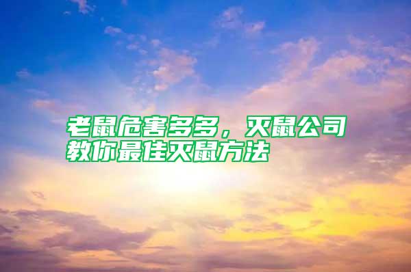 老鼠危害多多，滅鼠公司教你最佳滅鼠方法