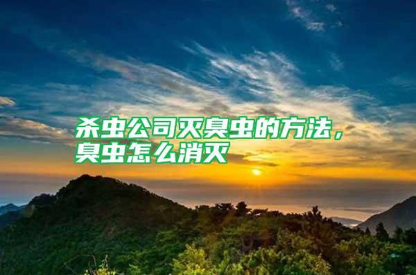殺蟲公司滅臭蟲的方法，臭蟲怎么消滅
