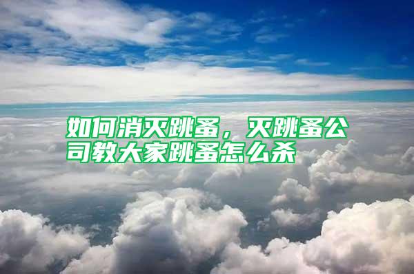 如何消滅跳蚤，滅跳蚤公司教大家跳蚤怎么殺