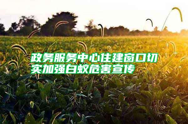 政務(wù)服務(wù)中心住建窗口切實(shí)加強(qiáng)白蟻危害宣傳
