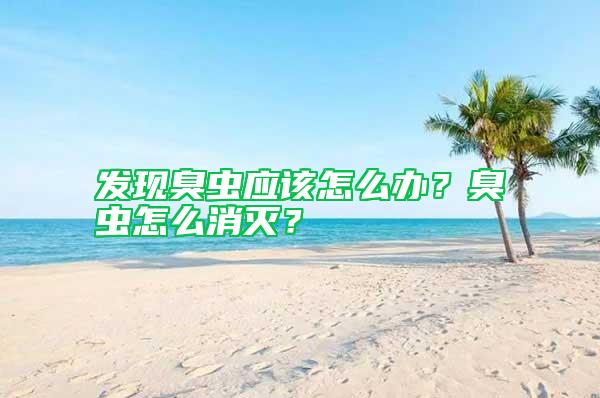 發現臭蟲應該怎么辦？臭蟲怎么消滅？