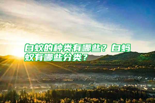 白蟻的種類有哪些？白螞蟻有哪些分類？