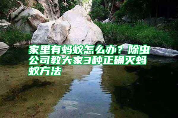家里有螞蟻怎么辦？除蟲公司教大家3種正確滅螞蟻方法