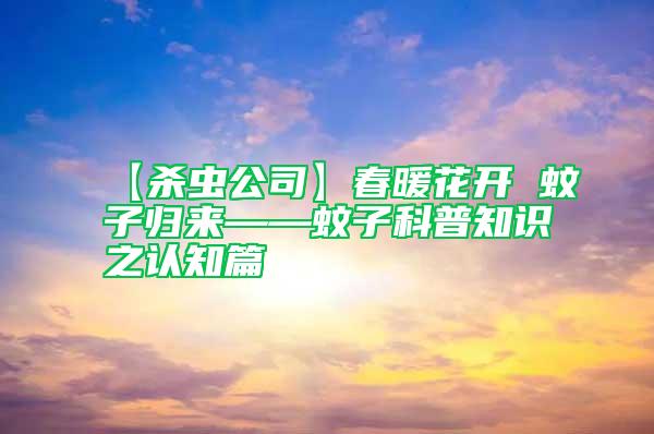 【殺蟲公司】春暖花開 蚊子歸來(lái)——蚊子科普知識(shí)之認(rèn)知篇