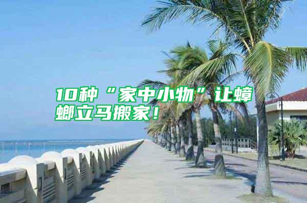 10種“家中小物”讓蟑螂立馬搬家！