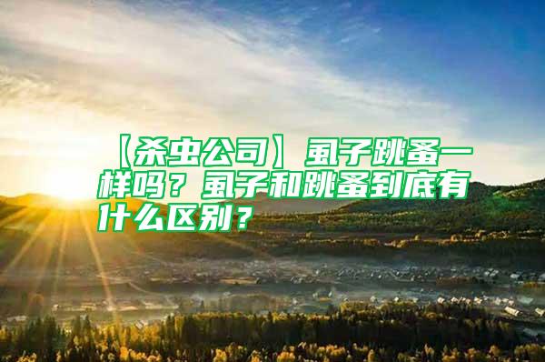 【殺蟲公司】虱子跳蚤一樣嗎？虱子和跳蚤到底有什么區別？