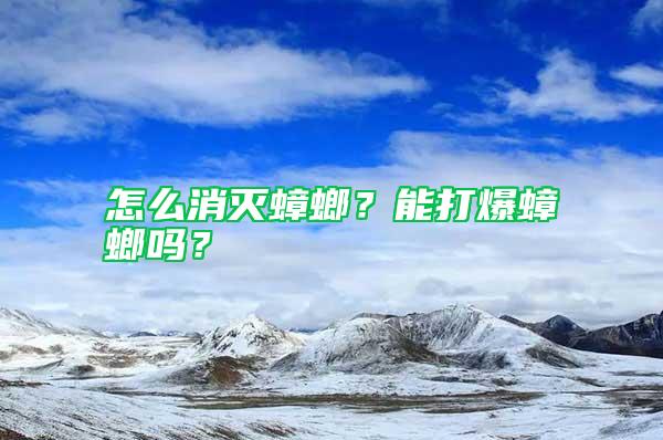 怎么消滅蟑螂？能打爆蟑螂嗎？