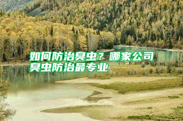 如何防治臭蟲？哪家公司臭蟲防治最專業