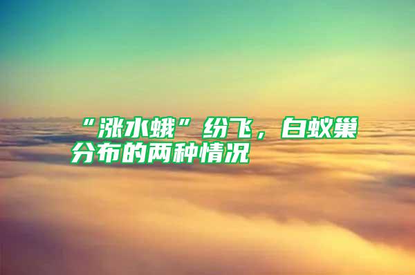“漲水蛾”紛飛，白蟻巢分布的兩種情況