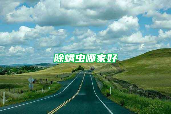 除螨蟲(chóng)哪家好