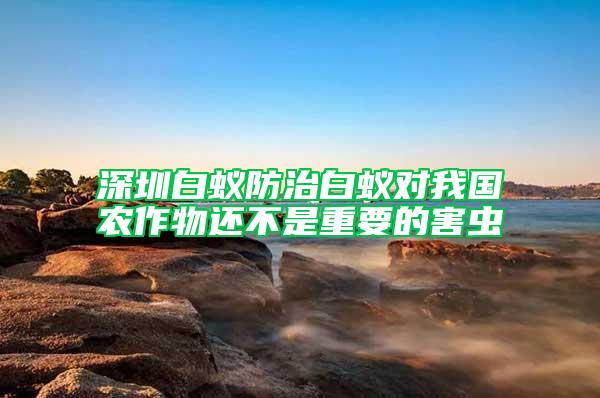 深圳白蟻防治白蟻對(duì)我國(guó)農(nóng)作物還不是重要的害蟲(chóng)
