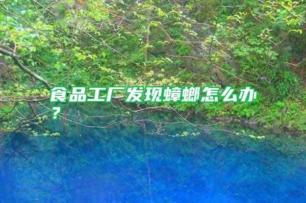 食品工廠發(fā)現(xiàn)蟑螂怎么辦？
