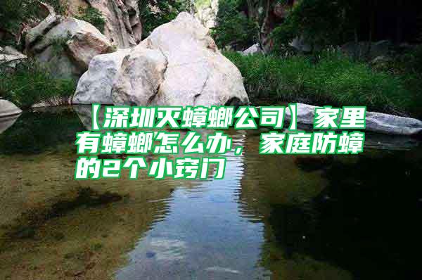【深圳滅蟑螂公司】家里有蟑螂怎么辦，家庭防蟑的2個(gè)小竅門