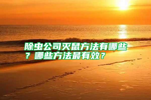 除蟲公司滅鼠方法有哪些？哪些方法最有效？