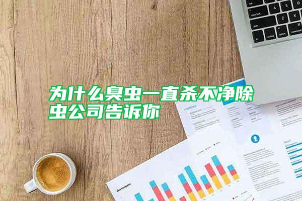 為什么臭蟲(chóng)一直殺不凈除蟲(chóng)公司告訴你