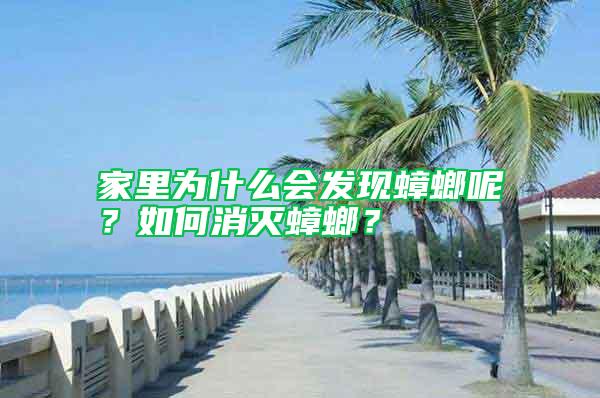 家里為什么會發(fā)現(xiàn)蟑螂呢？如何消滅蟑螂？