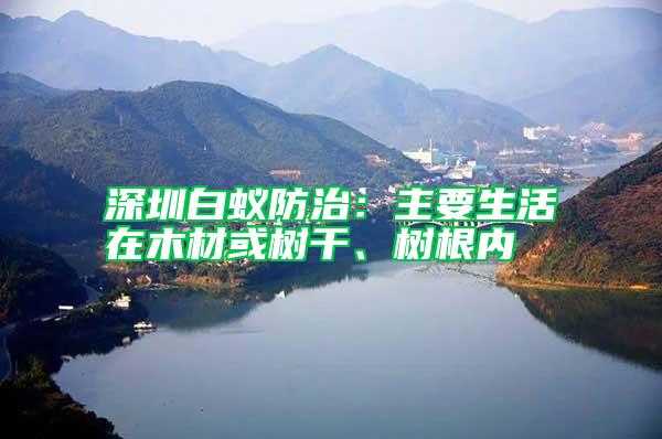 深圳白蟻防治：主要生活在木材或樹干、樹根內