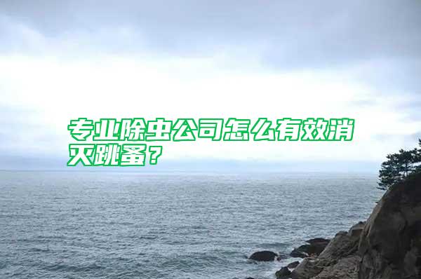 專(zhuān)業(yè)除蟲(chóng)公司怎么有效消滅跳蚤？