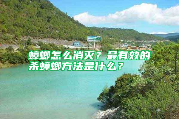 蟑螂怎么消滅？最有效的殺蟑螂方法是什么？
