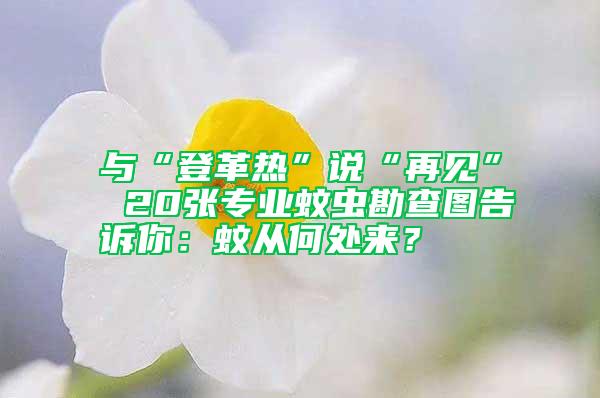 與“登革熱”說(shuō)“再見(jiàn)” 20張專(zhuān)業(yè)蚊蟲(chóng)勘查圖告訴你：蚊從何處來(lái)？