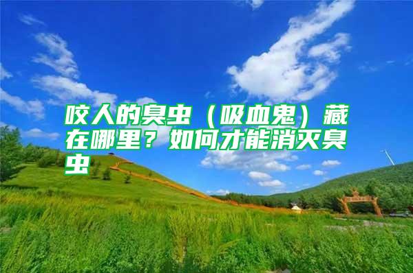咬人的臭蟲（吸血鬼）藏在哪里？如何才能消滅臭蟲