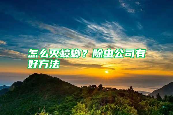 怎么滅蟑螂？除蟲公司有好方法