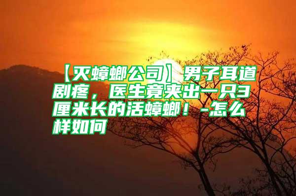 【滅蟑螂公司】男子耳道劇疼，醫(yī)生竟夾出一只3厘米長的活蟑螂！-怎么樣如何