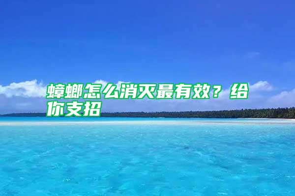 蟑螂怎么消滅最有效？給你支招