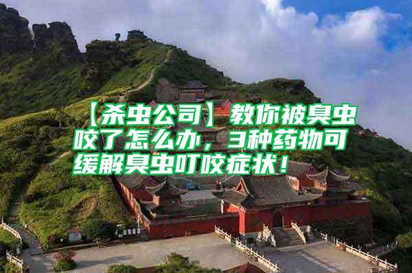 【殺蟲(chóng)公司】教你被臭蟲(chóng)咬了怎么辦，3種藥物可緩解臭蟲(chóng)叮咬癥狀！