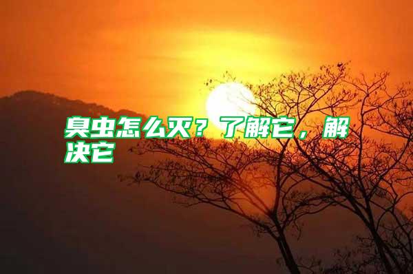 臭蟲怎么滅？了解它，解決它
