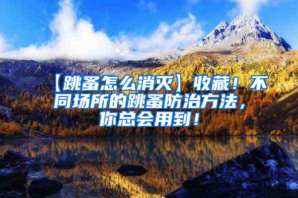【跳蚤怎么消滅】收藏！不同場(chǎng)所的跳蚤防治方法，你總會(huì)用到！