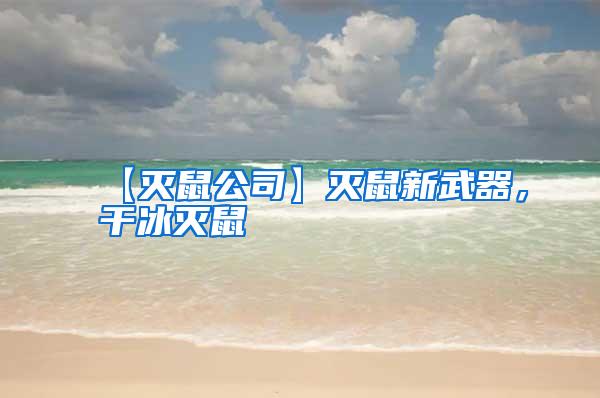 【滅鼠公司】滅鼠新武器，干冰滅鼠