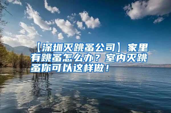 【深圳滅跳蚤公司】家里有跳蚤怎么辦？室內(nèi)滅跳蚤你可以這樣做！