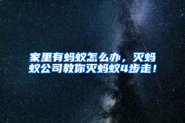 家里有螞蟻怎么辦，滅螞蟻公司教你滅螞蟻4步走！