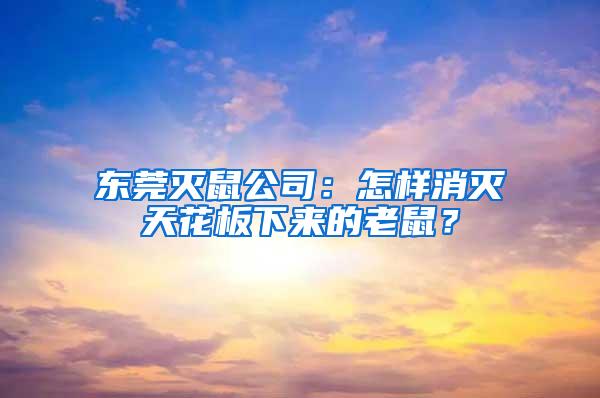 東莞滅鼠公司：怎樣消滅天花板下來的老鼠？