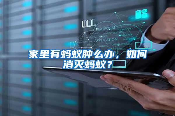 家里有螞蟻腫么辦，如何消滅螞蟻？