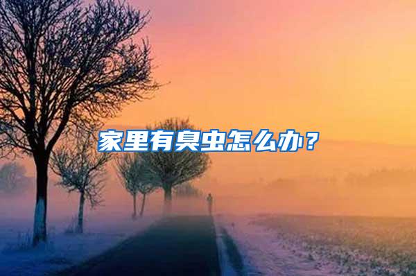 家里有臭蟲(chóng)怎么辦？