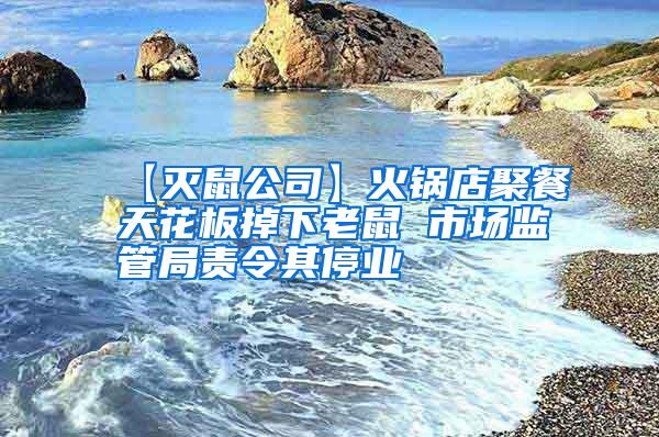 【滅鼠公司】火鍋店聚餐天花板掉下老鼠 市場監(jiān)管局責(zé)令其停業(yè)
