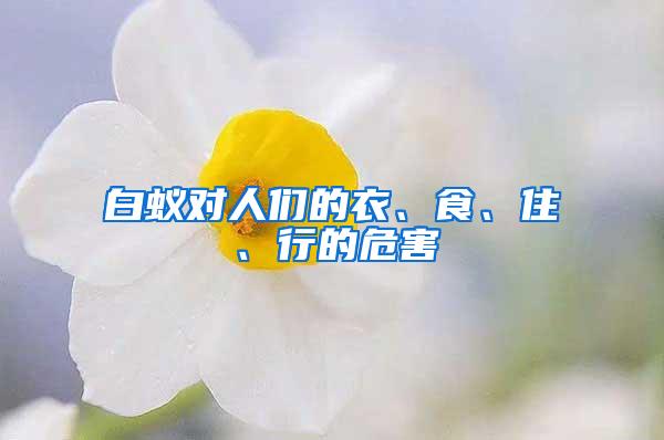 白蟻對(duì)人們的衣、食、住、行的危害