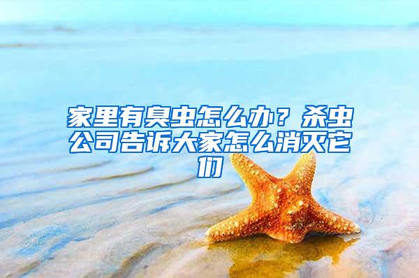 家里有臭蟲怎么辦？殺蟲公司告訴大家怎么消滅它們