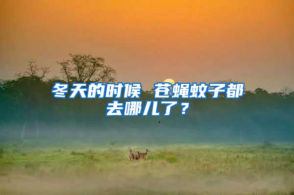 冬天的時候 蒼蠅蚊子都去哪兒了？
