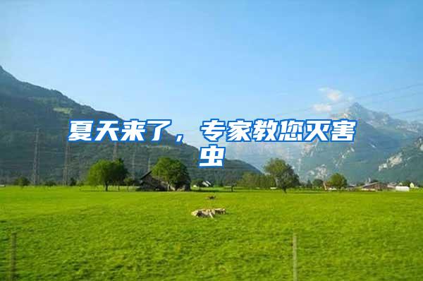 夏天來(lái)了，專家教您滅害蟲