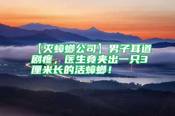 【滅蟑螂公司】男子耳道劇疼，醫生竟夾出一只3厘米長的活蟑螂！