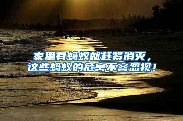 家里有螞蟻就趕緊消滅，這些螞蟻的危害不容忽視！