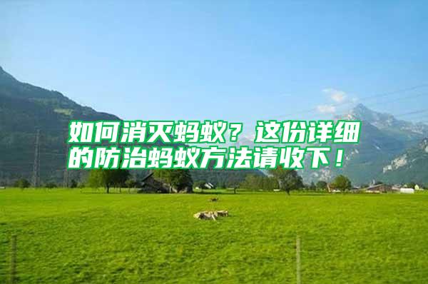 如何消滅螞蟻？這份詳細(xì)的防治螞蟻方法請收下！