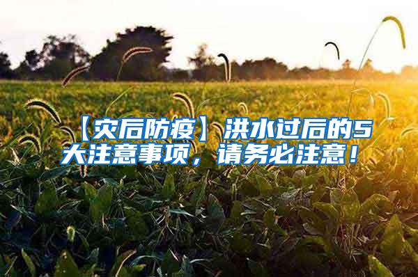 【災后防疫】洪水過后的5大注意事項，請務必注意！