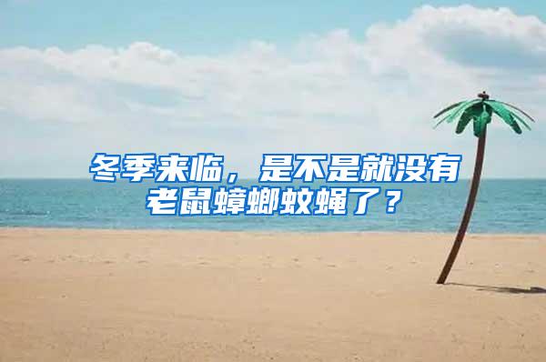 冬季來臨，是不是就沒有老鼠蟑螂蚊蠅了？