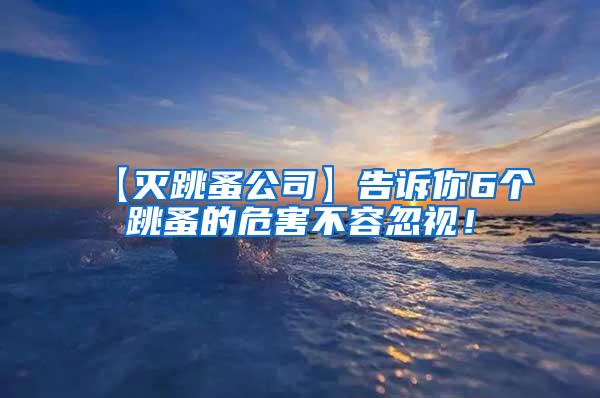 【滅跳蚤公司】告訴你6個跳蚤的危害不容忽視！